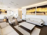 Izdavanje, četvorosoban stan, 135m², Sremska Kamenica, Petrovaradin - image 2