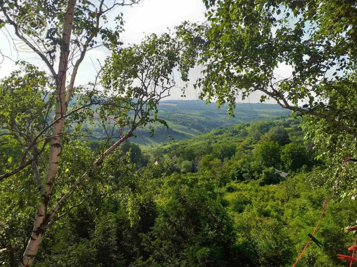 Prodaja, kuća, 367m², Irig, Srbija