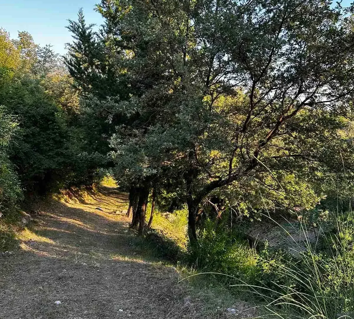 Prodaja, plac, 3000m², Kotor, Crna Gora