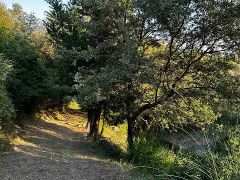 Prodaja, plac, 3000m², Kotor, Crna Gora - image 1