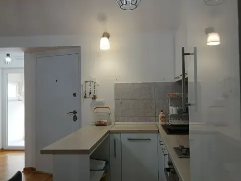 Izdavanje, dvosoban stan, 42m², Jajinci, Voždovac Sve Podlokacije - image 4