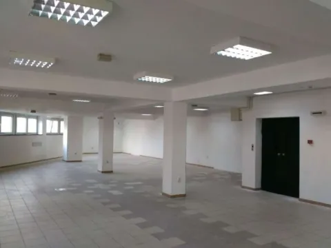 Izdavanje, poslovni prostor, 237m², Zemun Centar, Zemun Sve Podlokacije - image 2
