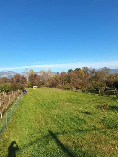 Prodaja, plac, 2000m², Kosić, Danilovgrad