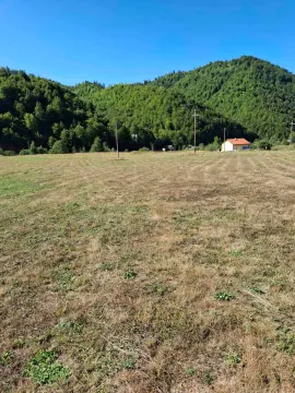 Pogled na prostrani plac sa zelenilom i šumom u pozadini. - image 8