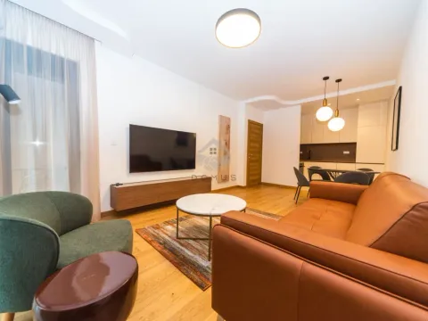 Izdavanje, jednosoban stan, 47m², Podgorica, Crna Gora - image 2