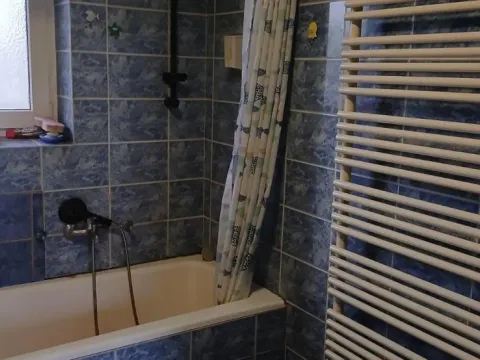 Prodaja, kuća, 192m², Amerić, Mladenovac - image 22