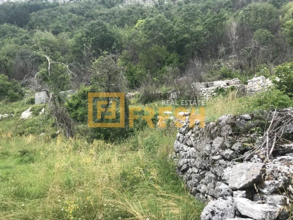 Prodaja, plac, 194723m², Cetinje, Crna Gora