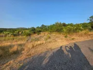 Prodaja, plac, 5000m², Rogami, Podgorica - image 2