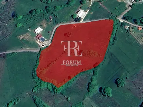 Prodaja, plac, 2500m², Crnci, Podgorica - image 2