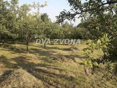 Prodaja, kuća, 38m², Irig, Srbija - image 3