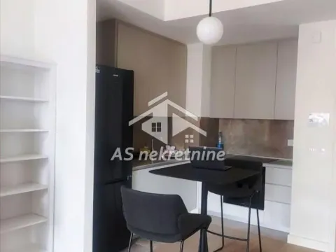 Izdavanje, dvosoban stan, 56m², Savski Venac, Beograd - image 2