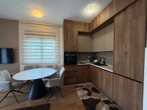 Rent, one bedroom apartment, 45m², Vezirov Most, Podgorica - image 7