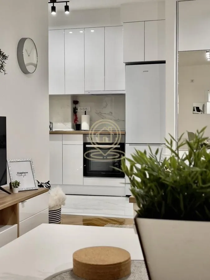 Rent, two bedroom apartment, 43m², Vračar Sve Podlokacije, Beograd