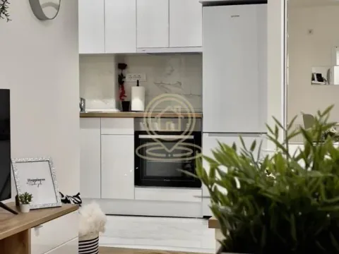 Rent, two bedroom apartment, 43m², Vračar Sve Podlokacije, Beograd - image 3