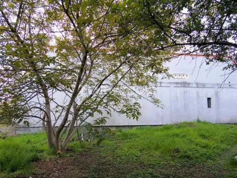 Prodaja, kuća, 121m², Zemun Gardoš, Zemun Sve Podlokacije - image 10