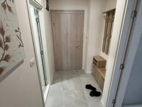 Prodaja, jednosoban stan, 49m², Central Point, Podgorica - image 9