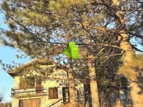 Prodaja, kuća, 40m², Palilula, Niš - image 16