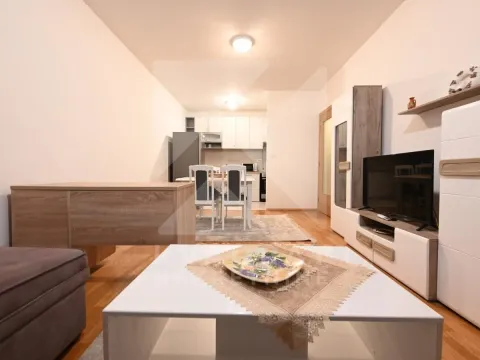 Izdavanje, jednosoban stan, 50m², Stari Aerodrom, Podgorica - image 3