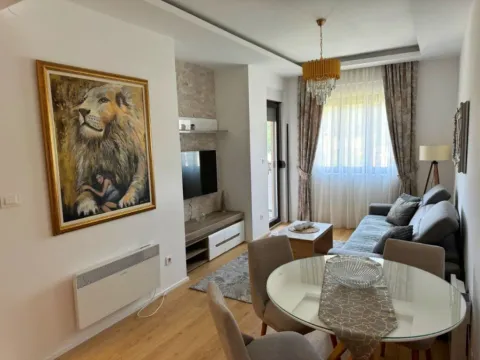 Rent, one bedroom apartment, 45m², Centar, Kolašin - image 3