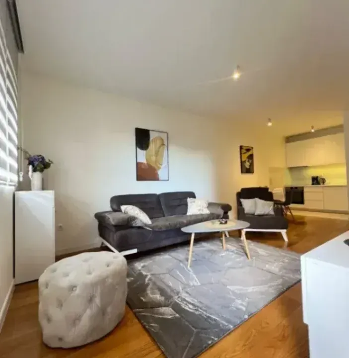 Prodaja, jednosoban stan, 49m², Central Point, Podgorica