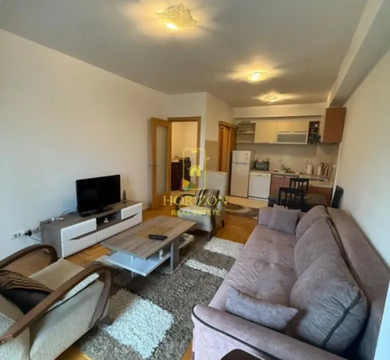 Rent, one bedroom apartment, 47m², Preko Morače, Podgorica