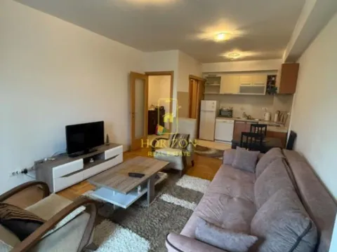 Izdavanje, jednosoban stan, 47m², Preko Morače, Podgorica