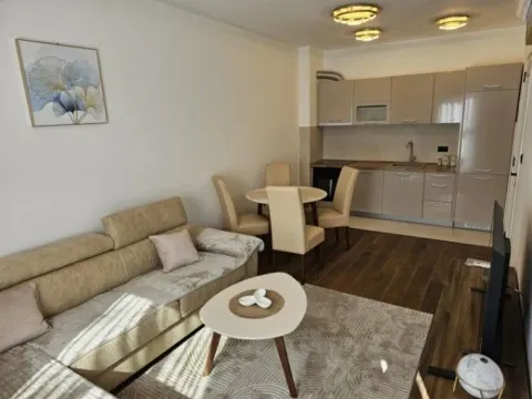 Izdavanje, jednosoban stan, 45m², Centar, Podgorica - image 5