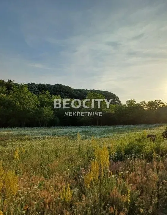 Prodaja, plac, 30m², Deliblatska peščara, Bela Crkva