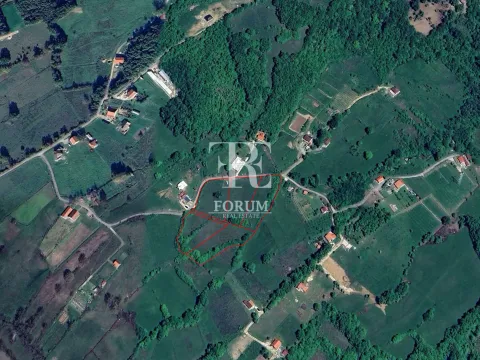 Prodaja, plac, 2500m², Crnci, Podgorica - image 5