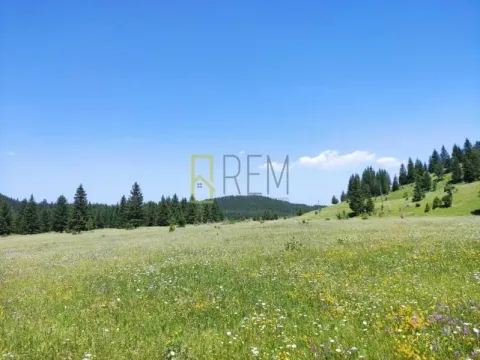 Prodaja, plac, Krš, Žabljak - image 3