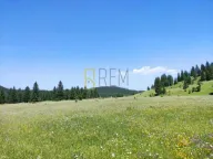 Prodaja, plac, Krš, Žabljak - image 3