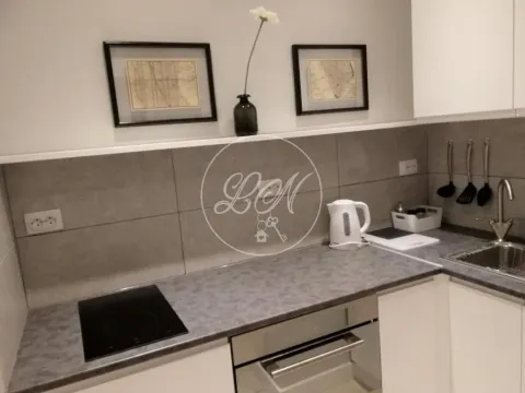 Izdavanje, jednosoban stan, 32m², Stari Grad, Beograd - image 8