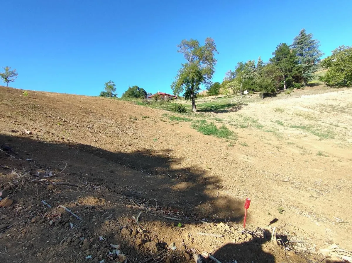 Prodaja, plac, 700m², Sremska Kamenica, Petrovaradin
