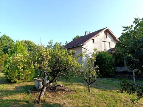 Prodaja, kuća, 200m², Čurug, Žabalj - image 3