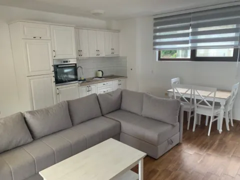 Izdavanje, jednosoban stan, 65m2, Bečići, Budva Izdavanje, jednosoban stan, 65m2, Bečići, Budva