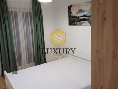 Izdavanje, jednosoban stan, 50m², Central Point, Podgorica - image 12