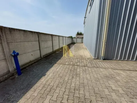 Izdavanje, poslovni prostor, 1200m², Bački Petrovac, Novi Sad - image 4