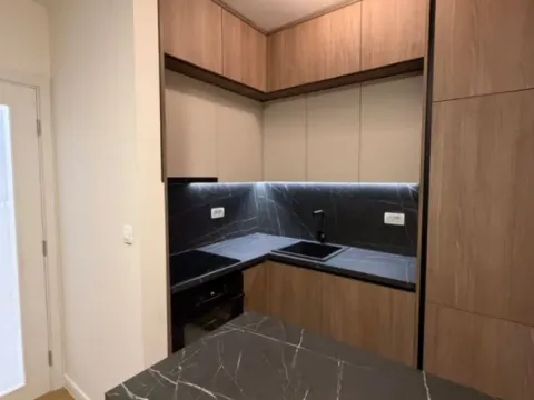 Izdavanje, jednosoban stan, 47m², Central Point, Podgorica - image 10