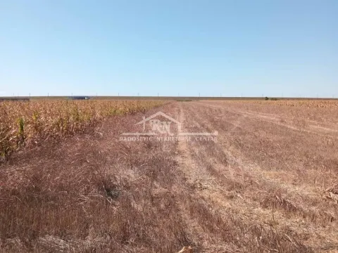 Prodaja, plac, 5307m², Batajnica, Beograd - image 5