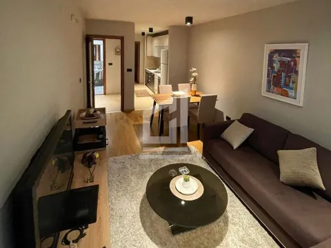 Izdavanje, jednosoban stan, 48m², Tološi, Podgorica - image 7