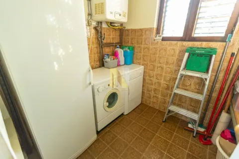 Rent, office space, 240m², Salajka, Novi Sad Sve Podlokacije - image 26