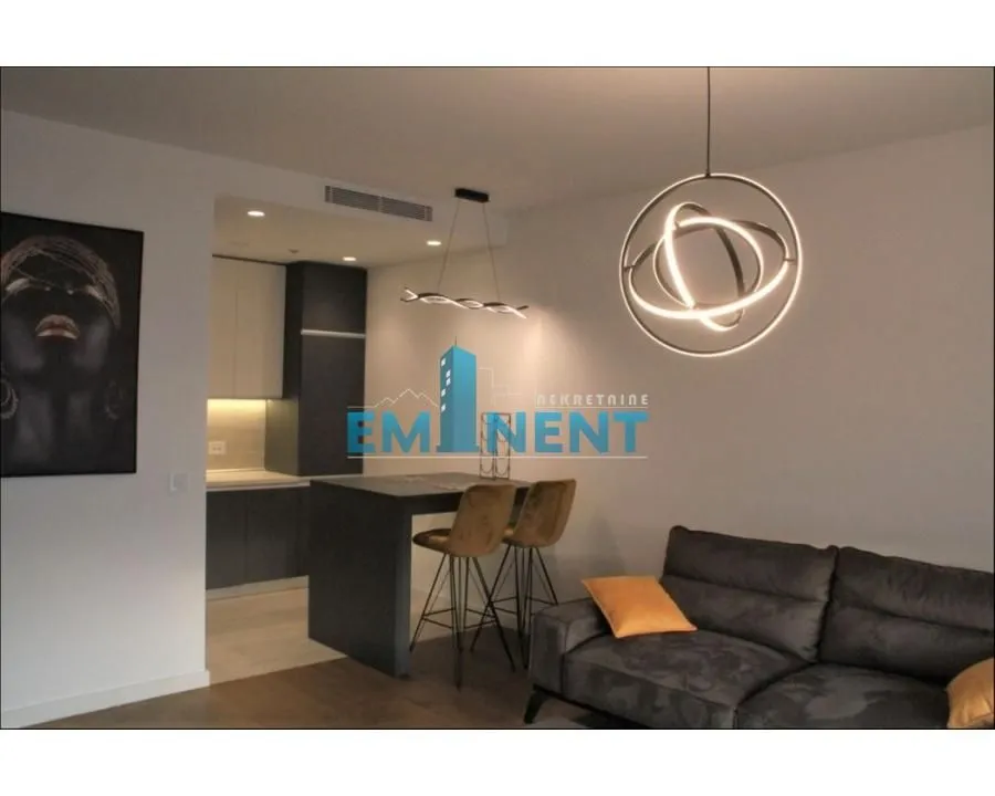 Izdavanje, dvosoban stan, 56m², Novi Beograd Blok 65, Novi Beograd Sve Podlokacije