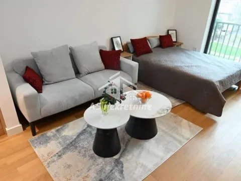Rent, one bedroom apartment, 37m², Lion, Zvezdara Sve Podlokacije - image 2
