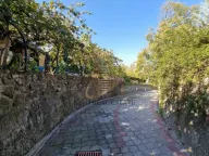 Prodaja, kuća, 160m², Čerević, Beočin - image 10