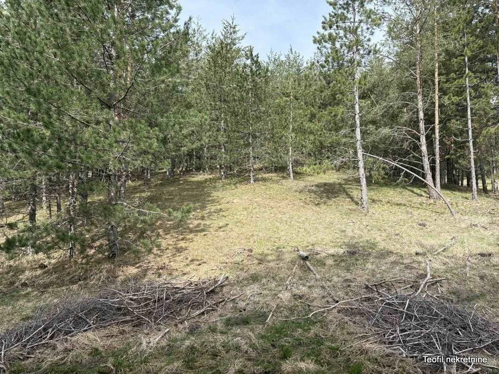 Prodaja, plac, 6600m², Zlatibor, Srbija