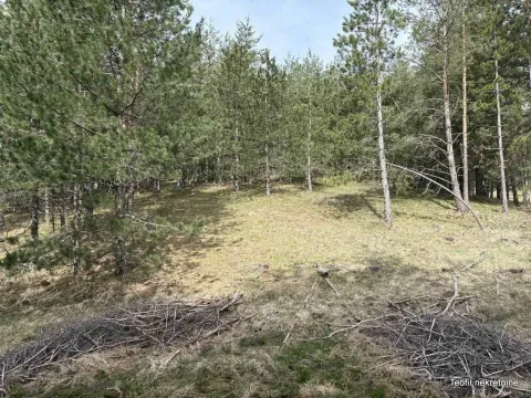 Prodaja, plac, 6600m², Zlatibor, Srbija - image 4