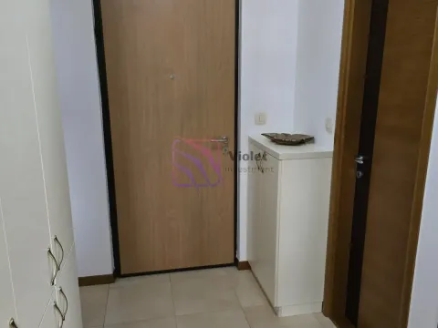 Izdavanje, dvosoban stan, 70m², Stari Aerodrom, Podgorica - image 17