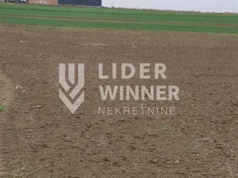 Prodaja, plac, 13600m², Surčin, Beograd - image 6