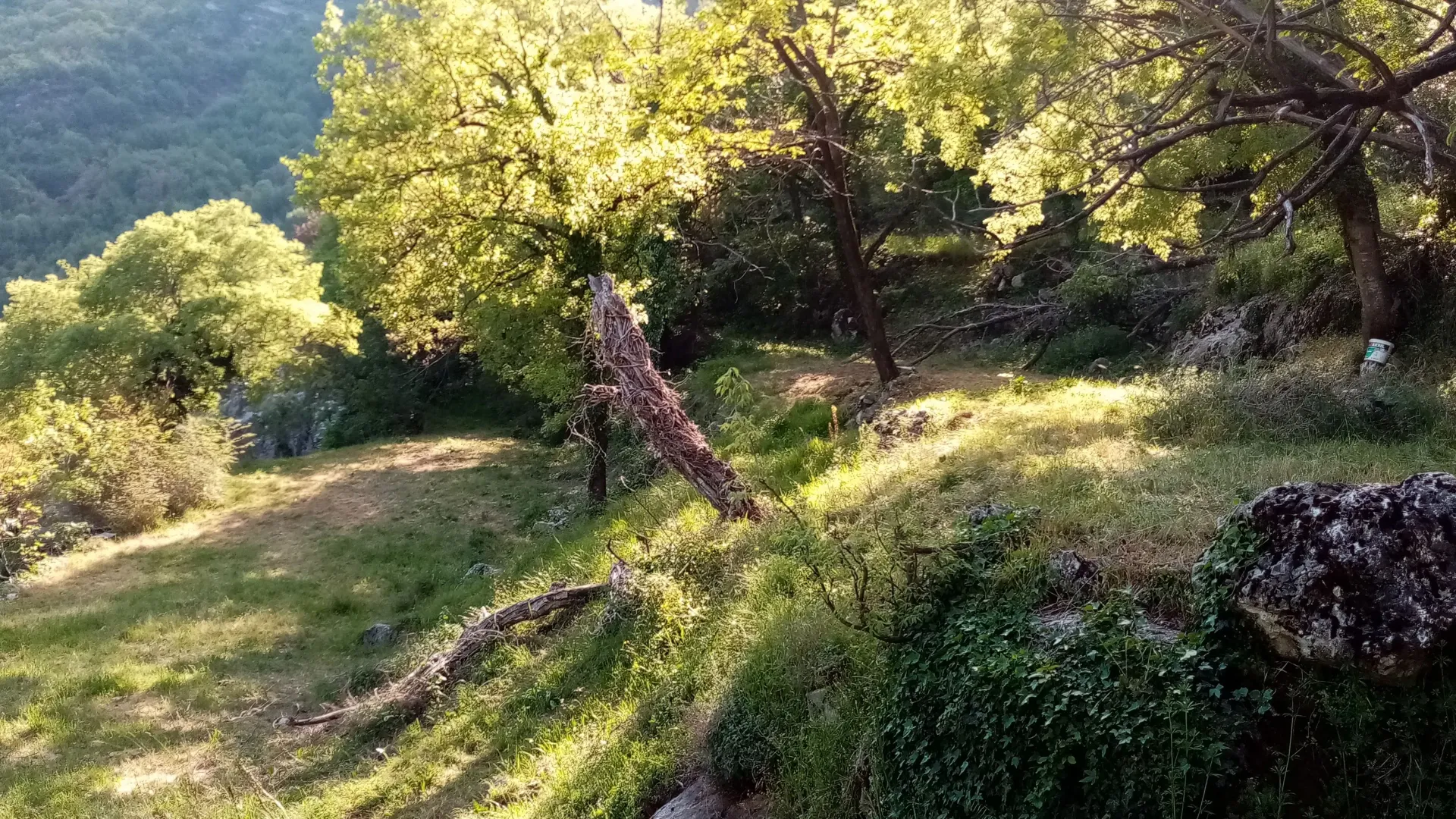 Prodaja, plac, 4700m², Dobrsko Selo, Cetinje