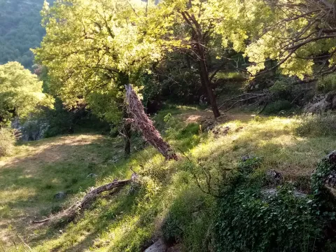Prodaja, plac, 4700m², Dobrsko Selo, Cetinje - image 6